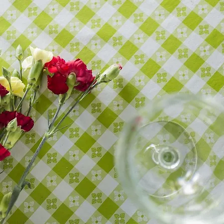 Family House Garden * 蓬塔德尔加达