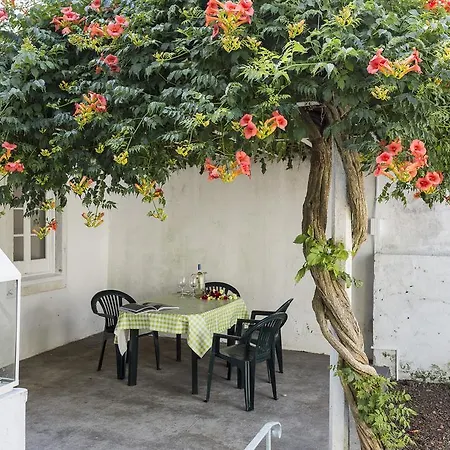 Family House Garden * 蓬塔德尔加达