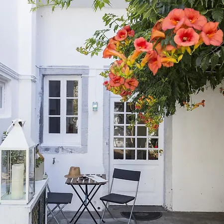 Family House Garden *