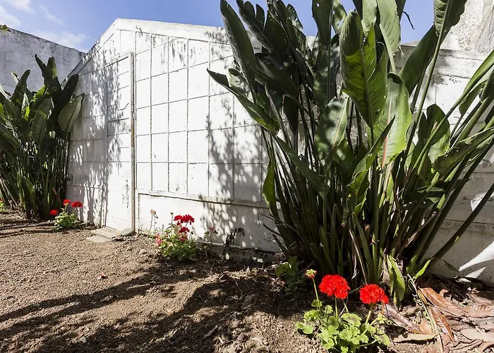 Сasa de vacaciones Family House Garden