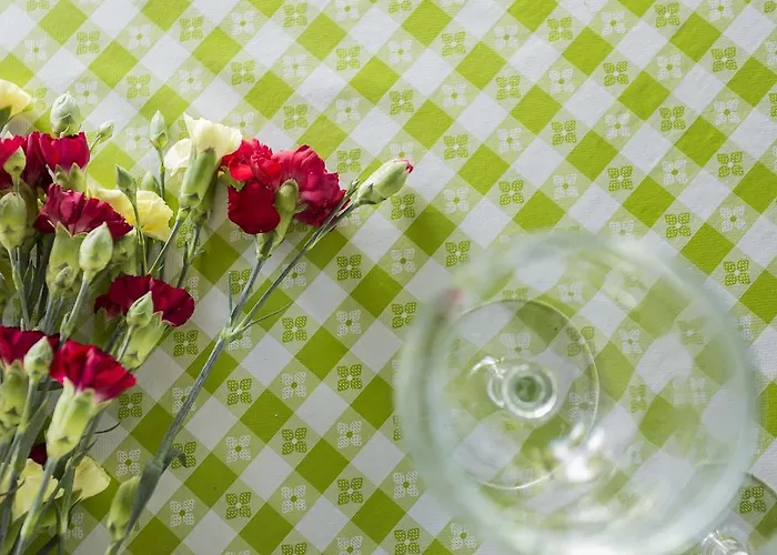 Family House Garden * Ponta Delgada (Sao Miguel)